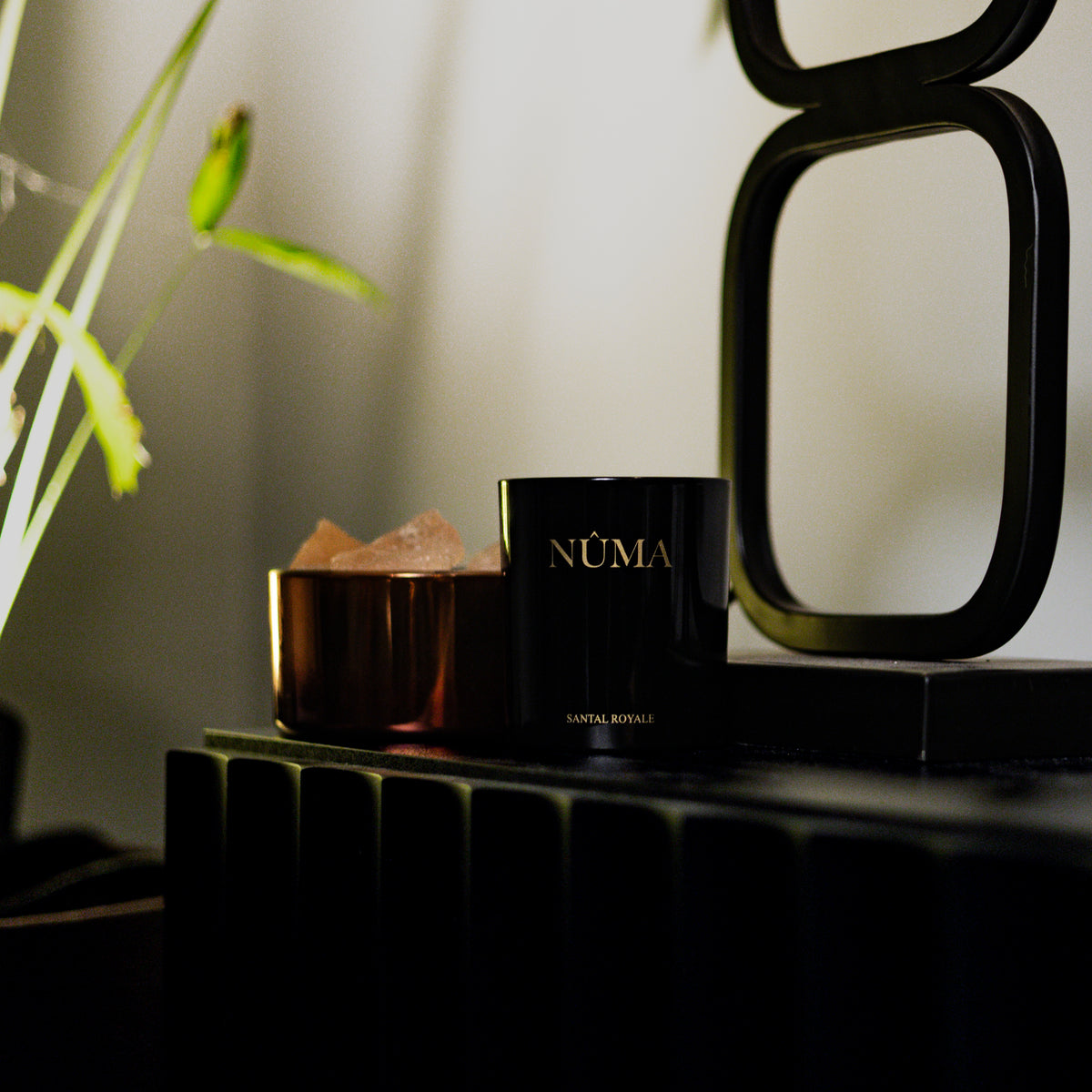 No. 3 Santal Royal - Geurkaars