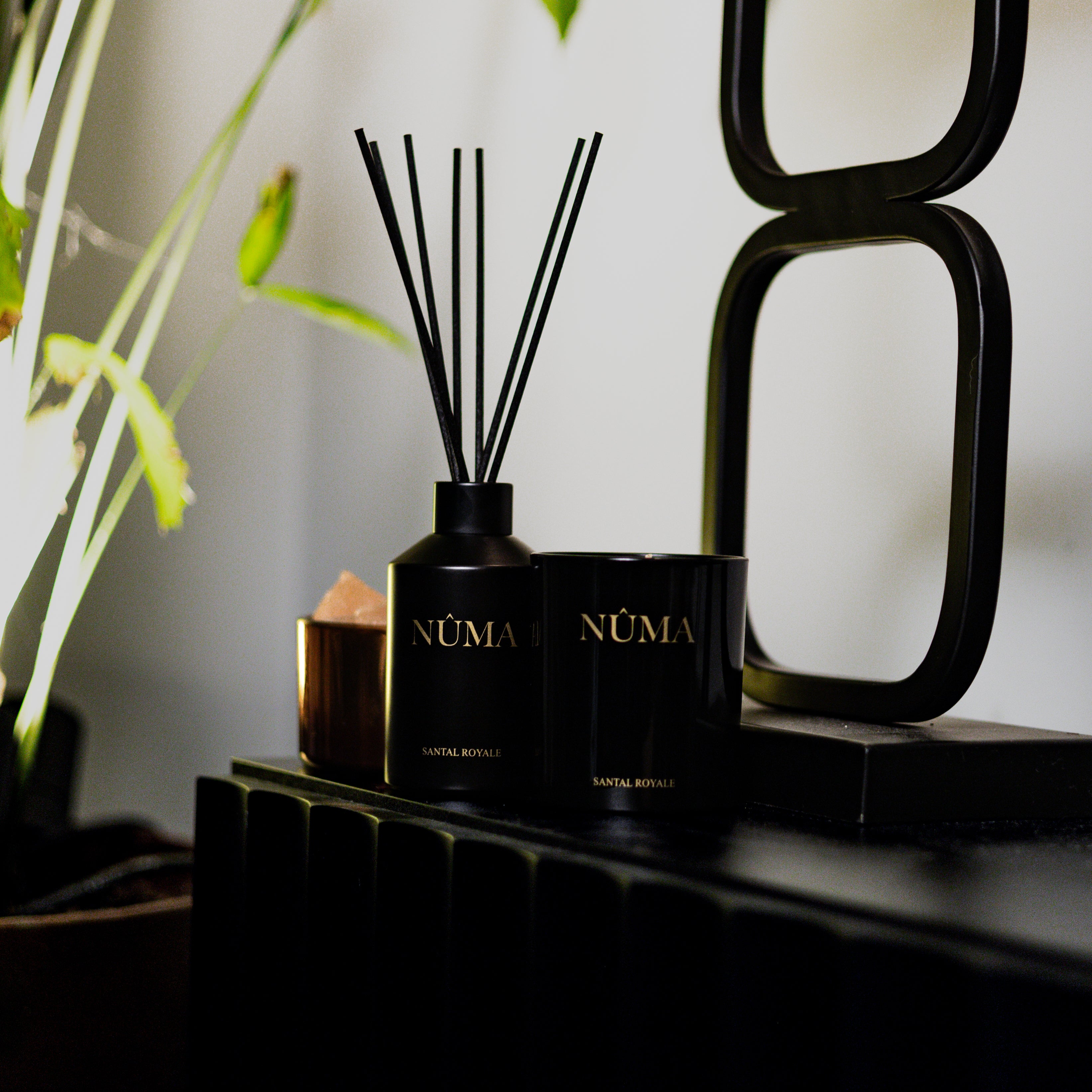 No. 3 Santal Royal - Geurset