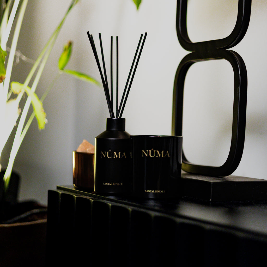 No. 3 Santal Royal - Geurset