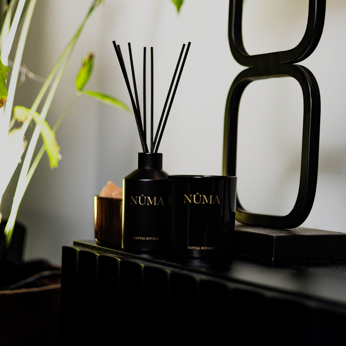 No. 3 Santal Royal - Geurset